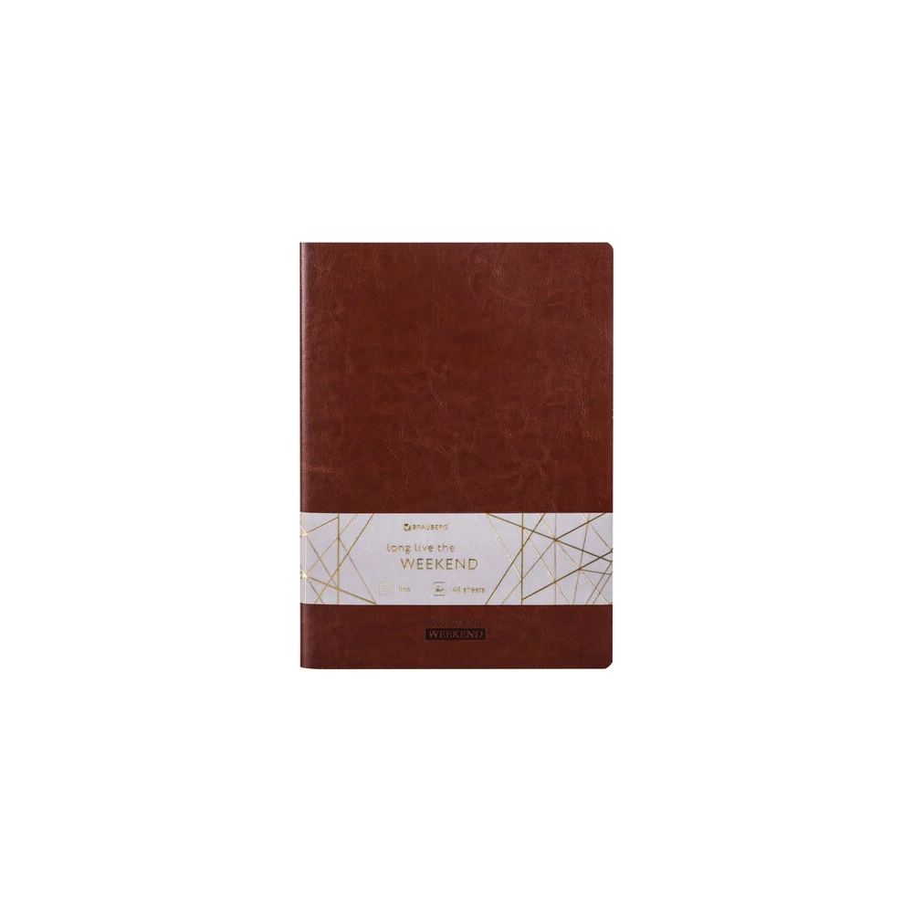 Тетрадь BRAUBERG VIVA 403893