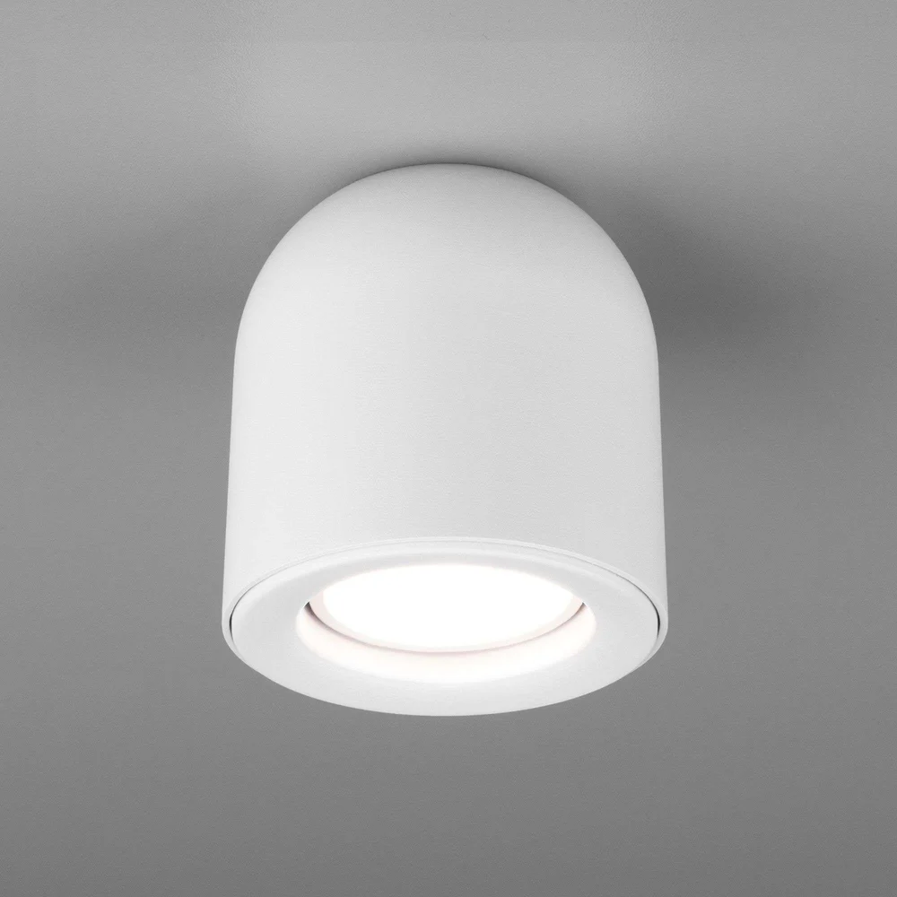 Накладной светильник Elektrostandard DLN116 a050672