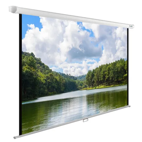 Экран Cactus WallExpert CS-PSWE-240x150-WT, 240х150 см, 16:10, настенно-потолочный белый