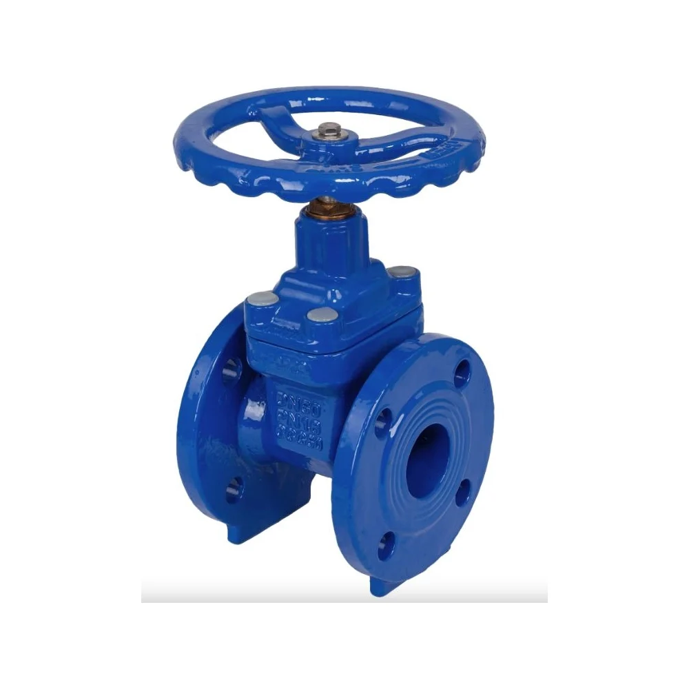 Задвижка DYARM -ZK-100-16-G-E 4687203187033