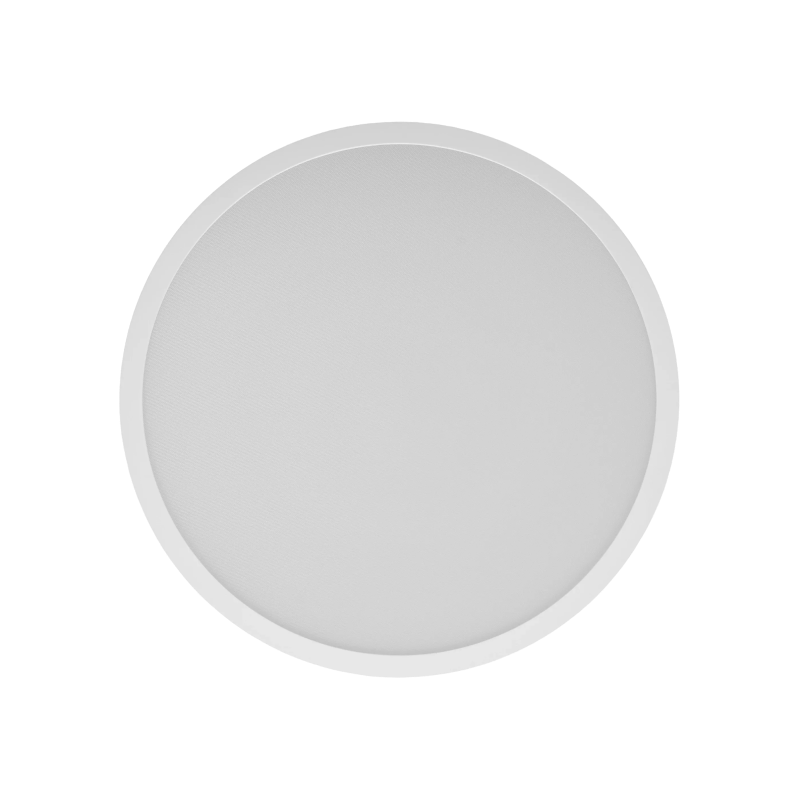Smart Ceiling Light D30
