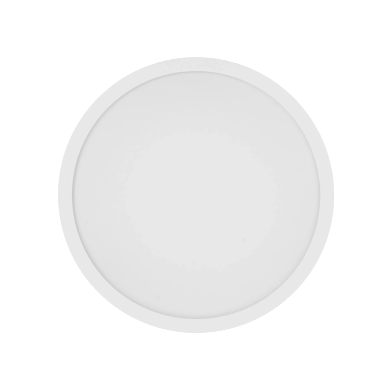 Smart Ceiling Light D20
