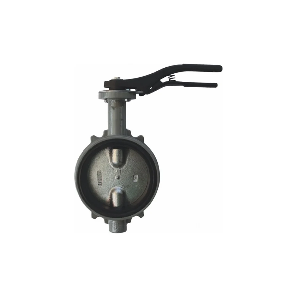 Дисковый поворотный затвор Giacomini DN80 R59WX008