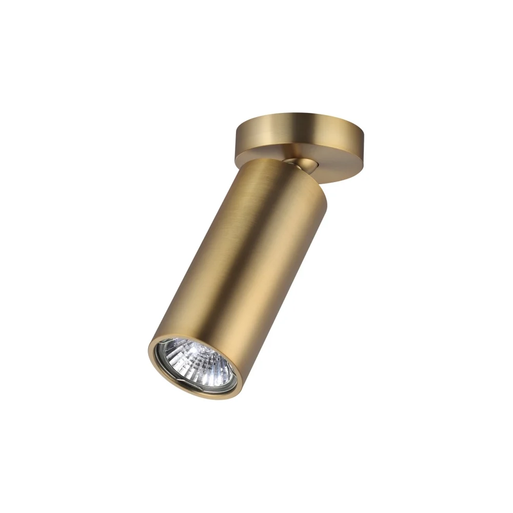 Потолочный накладной светильник ODEON LIGHT NINO 4279/1C