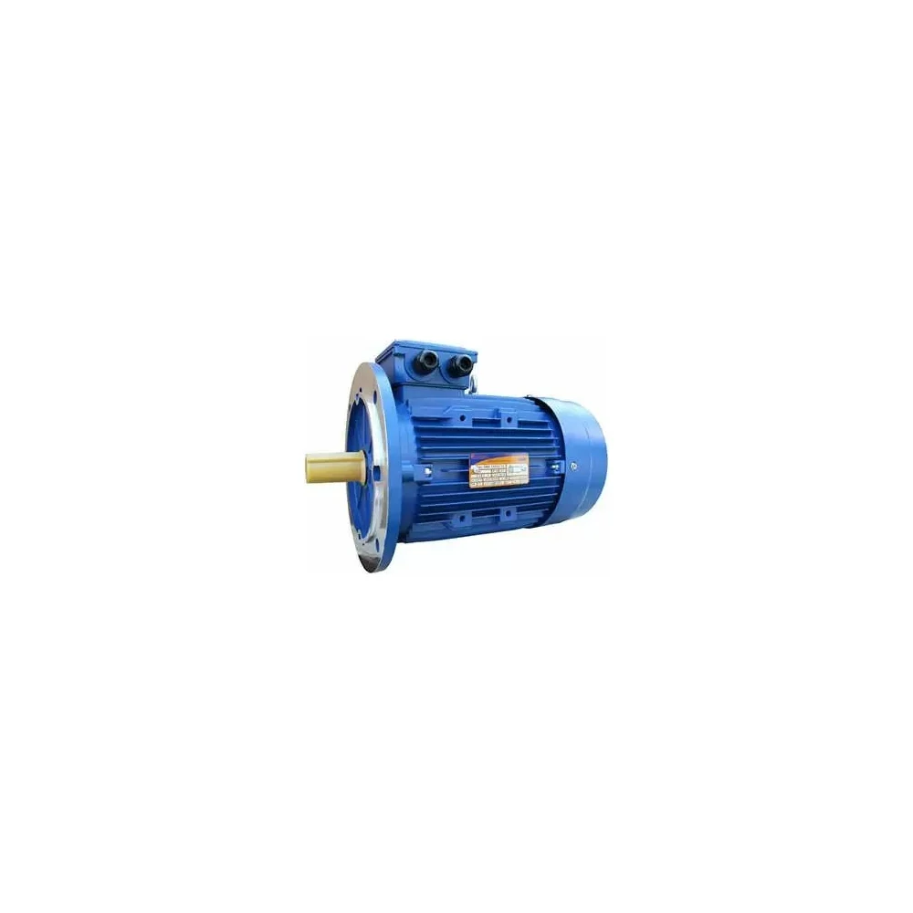 Электродвигатель 5АИ 100 S2 4/3000 IM 3081 01.01.213666