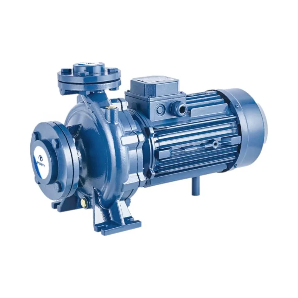 Моноблочный фланцевый насосный агрегат Purity PSTC 80-160/110 (N) 100588158