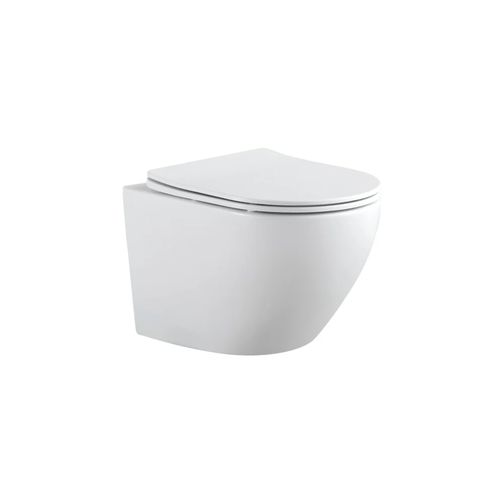 Подвесной унитаз Aquanet Cetus 2.0 W 00243541