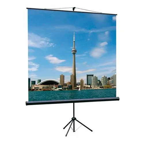 Экран Lumien Eco View LEV-100101, 150х150 см, 1:1, напольный