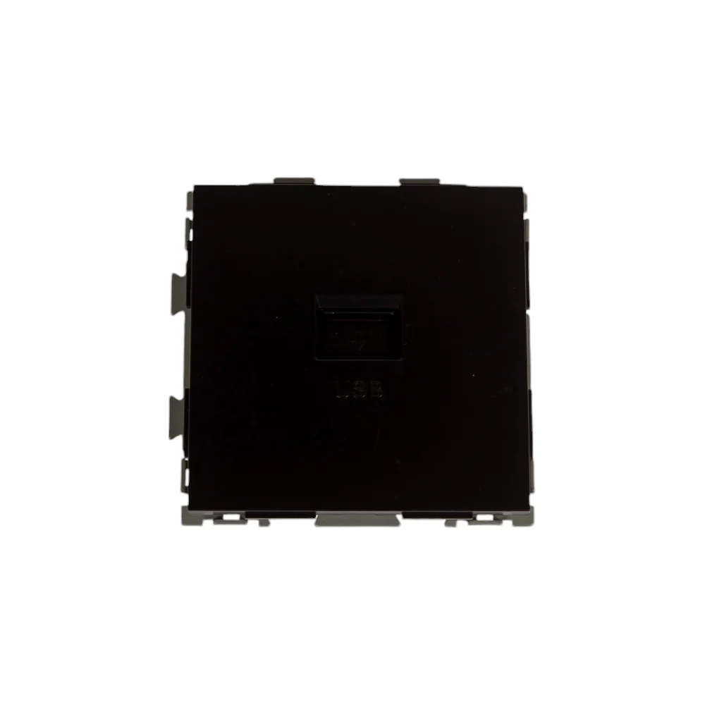 Usb розетка CGSS Практика PL-W201U-BCM
