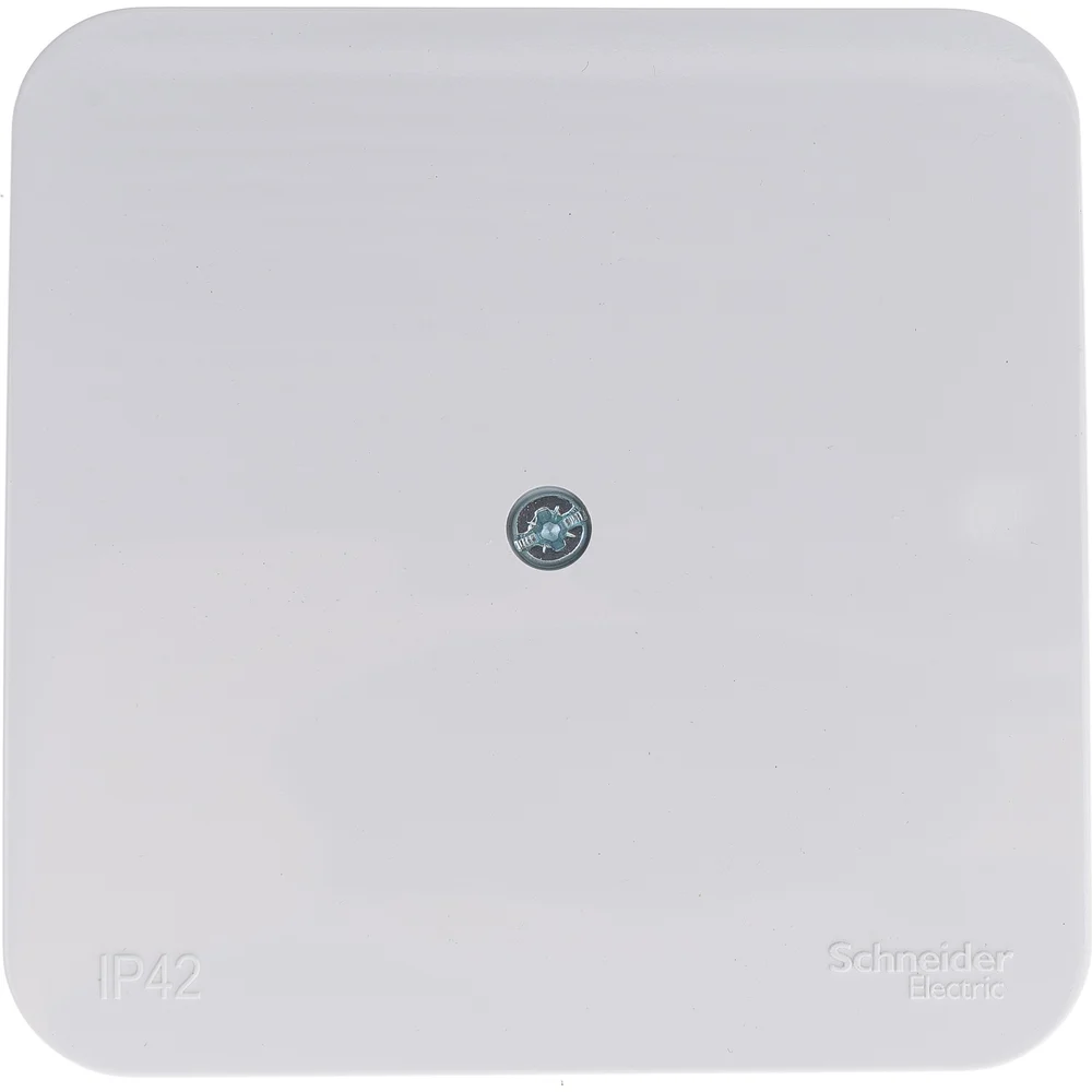 Распределительная коробка Systeme Electric BLANCA BLNRK000011