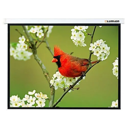 Экран Lumien Master Picture LMP-100108, 128х171 см, 4:3, настенно-потолочный белый