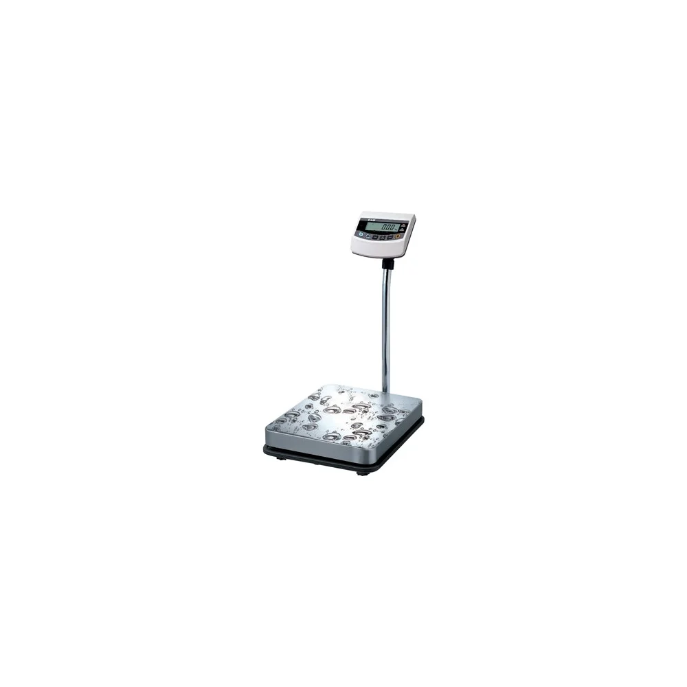 Весы CAS BW-60RB C40B0N603GCI0501