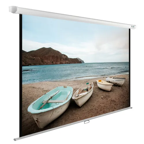 Экран Cactus WallExpert CS-PSWE-220x138-WT, 220х138 см, 16:10, настенно-потолочный белый