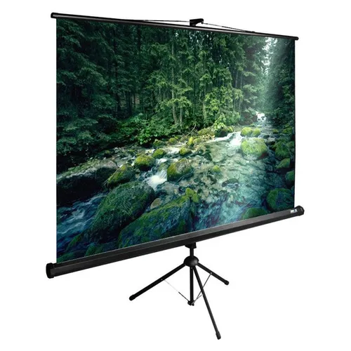 Экран Cactus TriExpert CS-PSTE-220x165-BK, 220х165 см, 4:3, напольный черный
