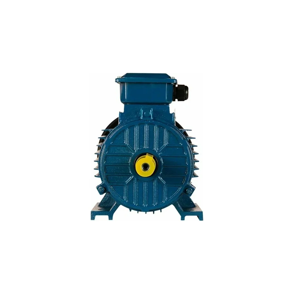 Электродвигатель 5АИ 100 L2 5.5/3000 IM 1081 01.01.213567