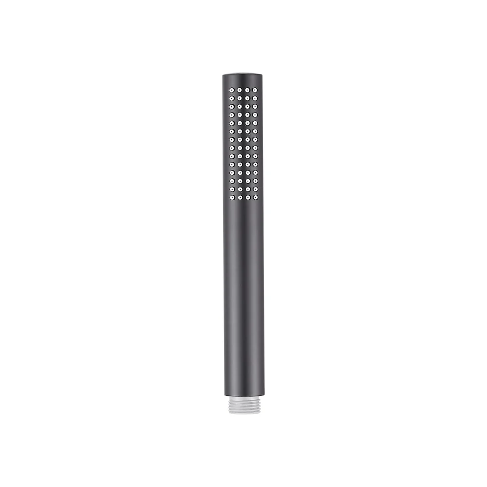 Душевая лейка Aquanet AF000-14B 00261832