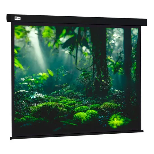 Экран Cactus Wallscreen CS-PSW-213X213-BK, 213х213 см, 1:1, настенно-потолочный черный