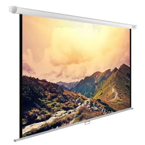 Экран Cactus WallExpert CS-PSWE-240x180-WT, 240х180 см, 4:3, настенно-потолочный