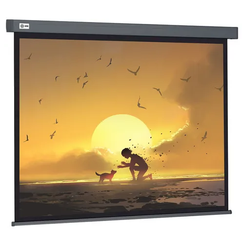 Экран Cactus Wallscreen CS-PSW-124X221-SG, 221х124.5 см, 16:9, настенно-потолочный серый