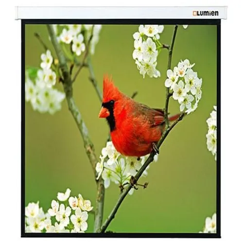 Экран Lumien Master Picture LMP-100129, 220х220 см, 1:1, настенно-потолочный