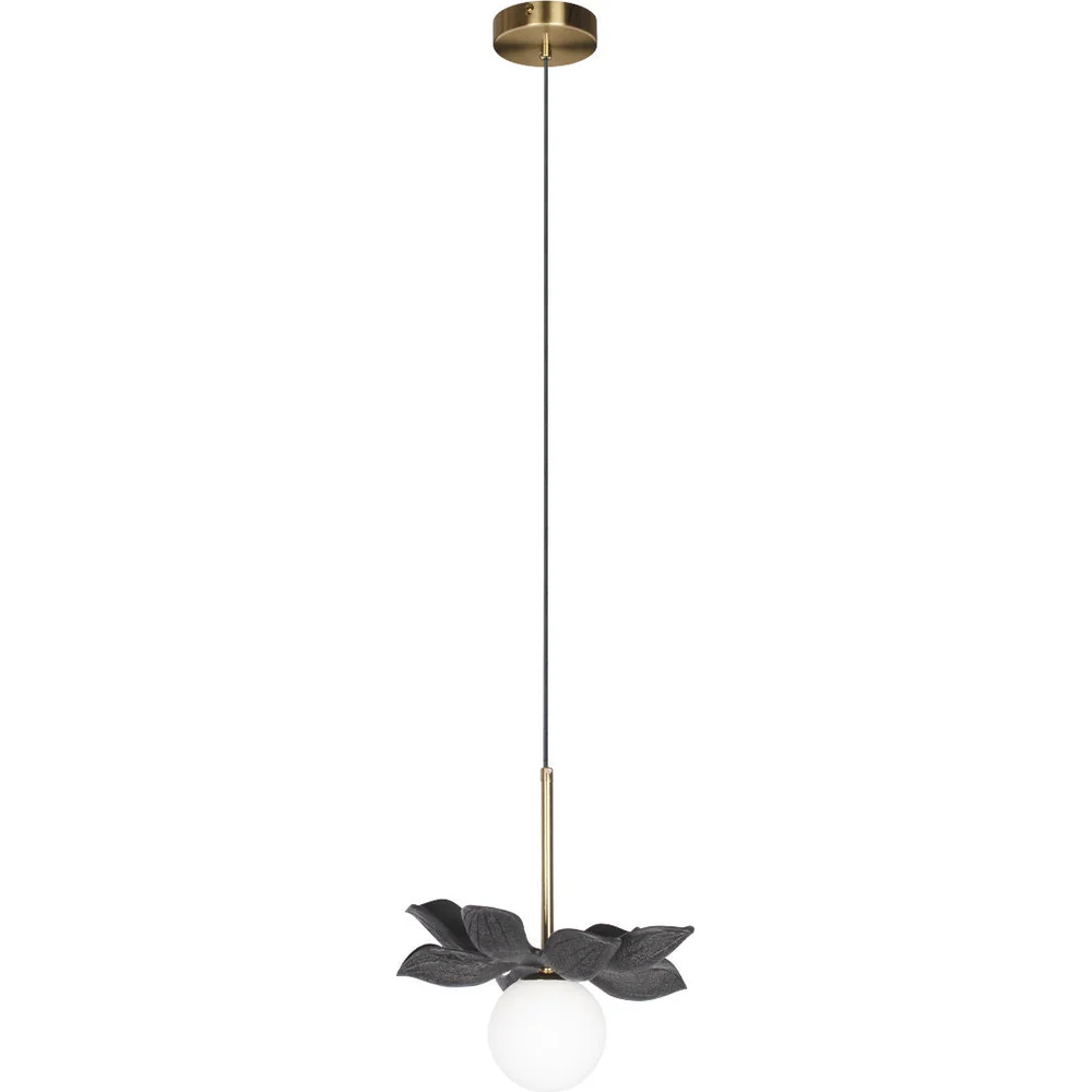 Подвесной светильник LOFT IT Monro 10213/B Black