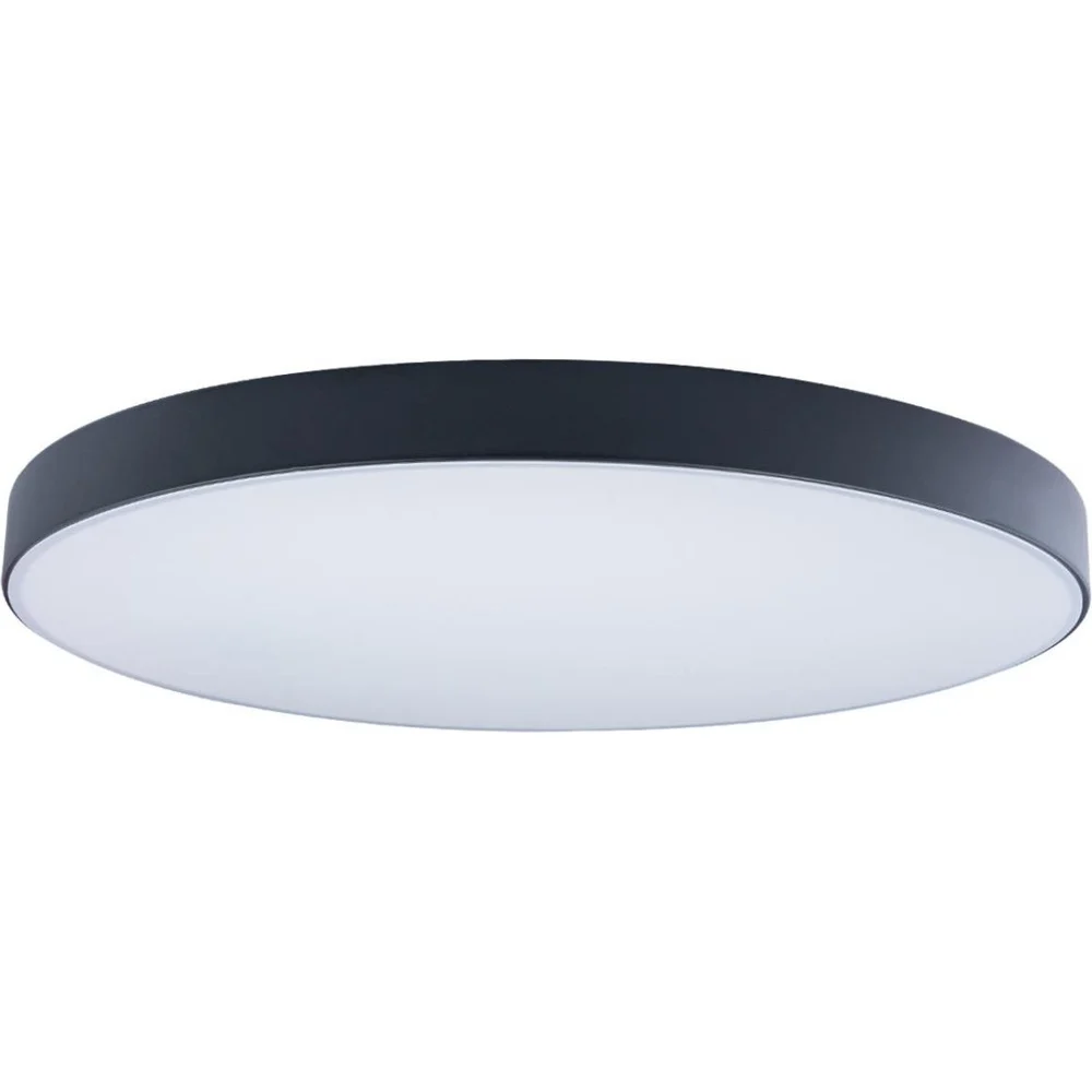 Накладной светильник LOFT IT Axel 1 10002/48 Black