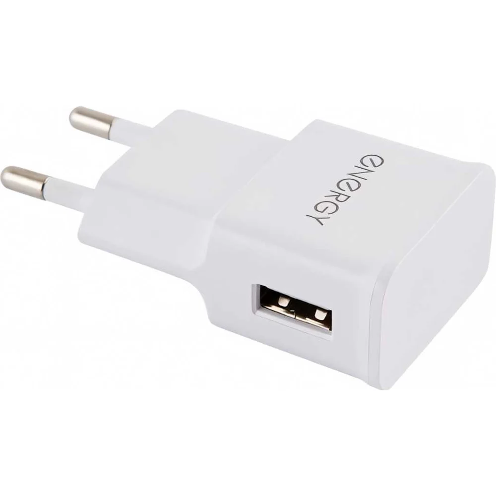 Сетевое зарядное устройство ENERGY ET-09 006294