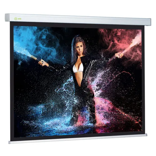 Экран Cactus Wallscreen CS-PSW-180x180, 180х180 см, 1:1, настенно-потолочный белый