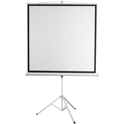 Экран DIGIS Kontur-D DSKD-4304, 248х189 см, 4:3, напольный