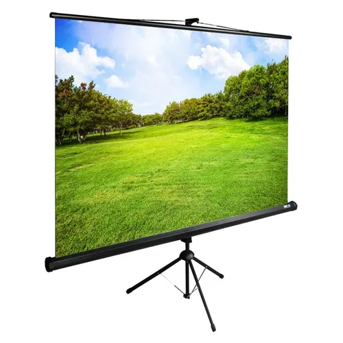 Экран Cactus TriExpert CS-PSTE-200x150-BK, 200х150 см, 4:3, напольный черный