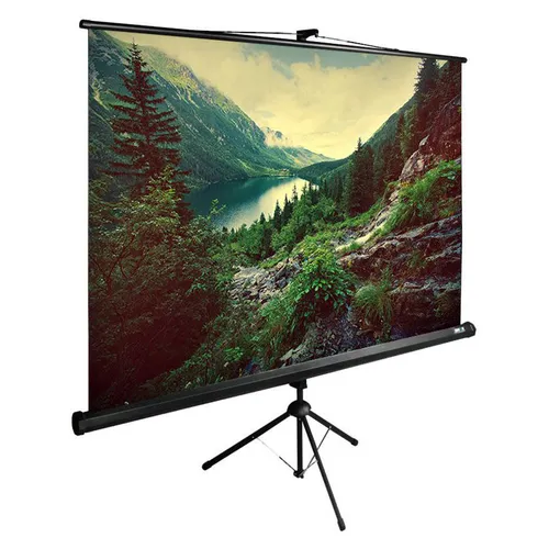 Экран Cactus TriExpert CS-PSTE-220x220-BK, 220х220 см, 1:1, напольный черный
