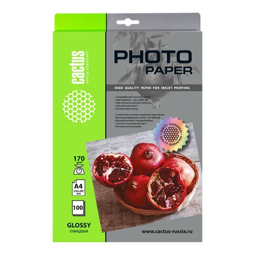 Фотобумага Cactus CS-GA4170100, A4, для струйной печати, 100л, 170г/м2, белый, покрытие глянцевое