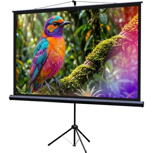 Экран Lumien Eco Picture LEV-100115, 227х130 см, 16:9, напольный черный
