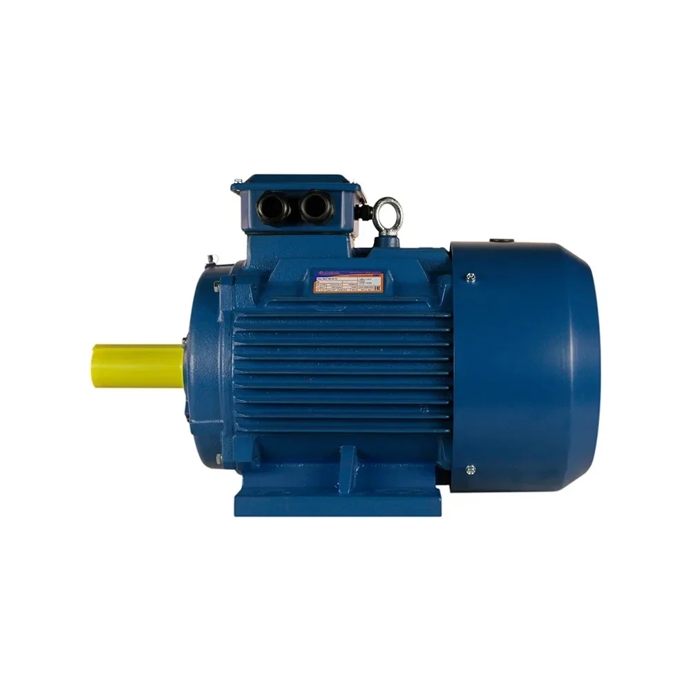 Электродвигатель 5АИ 200 М4 37/1500 IM 1001 01.01.213503