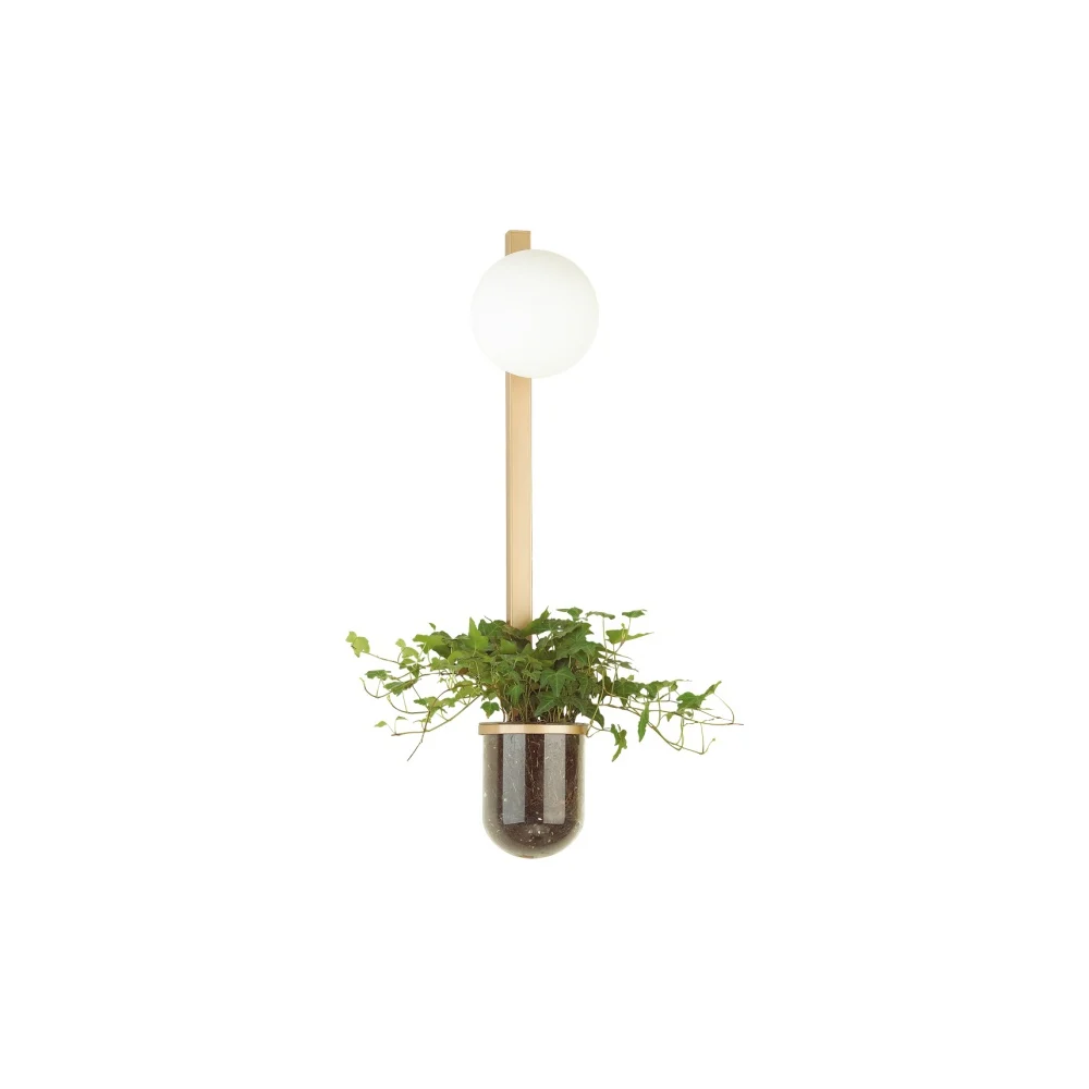 Настенный светильник ODEON LIGHT FLOWER 4682/1WB