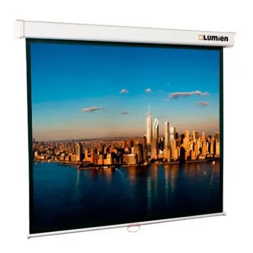 Экран Lumien Master Picture LMP-100118, 203х300 см, 16:9, настенно-потолочный