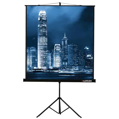 Экран Lumien Master View LMV-100108, 244х183 см, 4:3, напольный черный