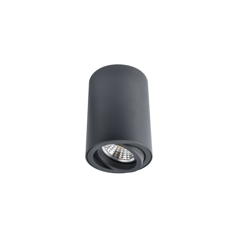Потолочный светильник ARTE LAMP A1560PL-1BK