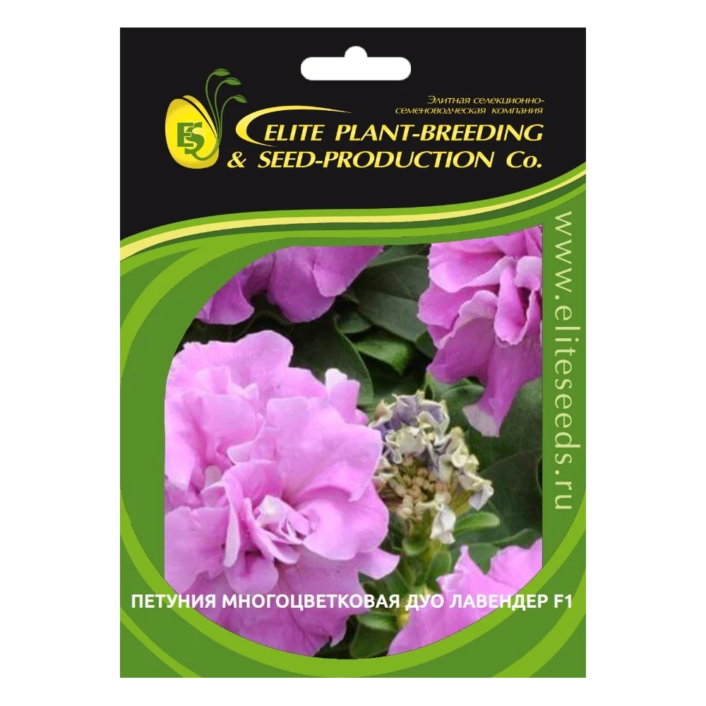 Семена ELITE PLANT-BREEDING & SEED PRODUCTION Co. ЭС мини 1026993802