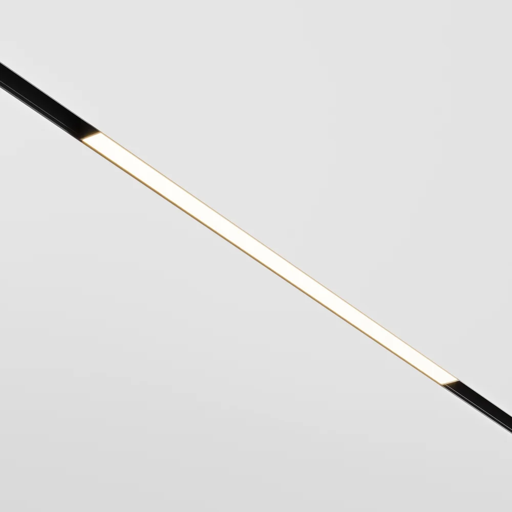 Трековый светильник MAYTONI exility TR030-2-12W3K-B
