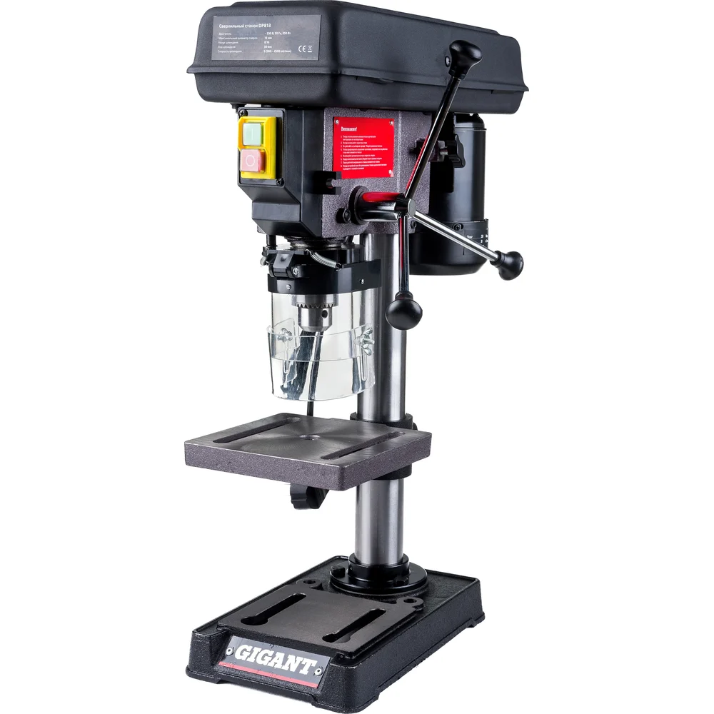 DP813