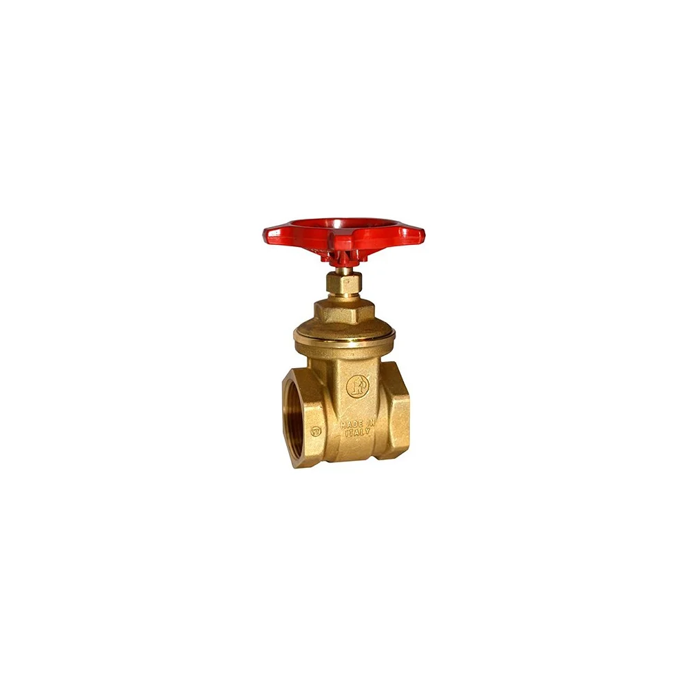 Клиновая задвижка Giacomini R55 R55Y008 007-5093