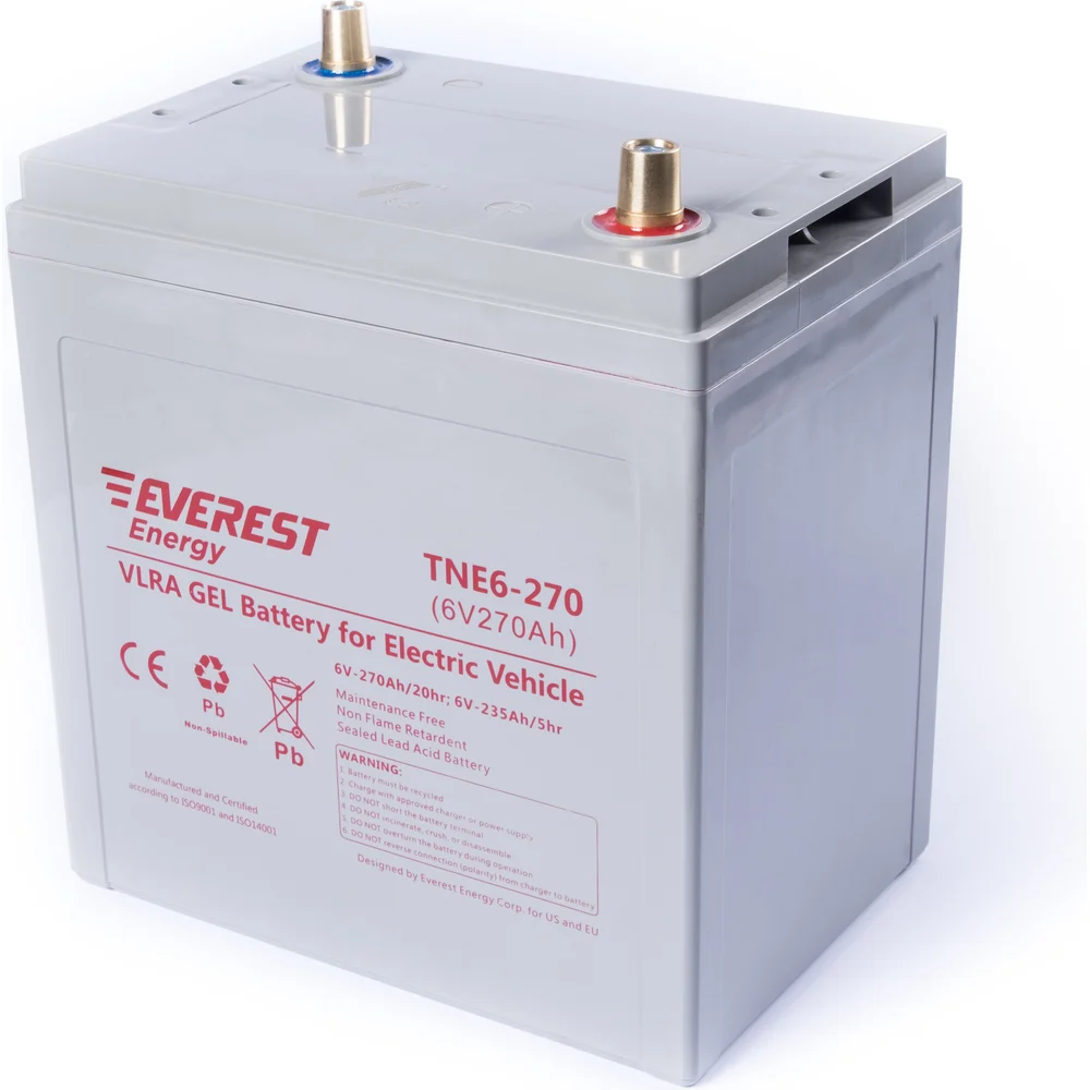 Тяговая аккумуляторная батарея EVEREST Energy TNE 6-270
