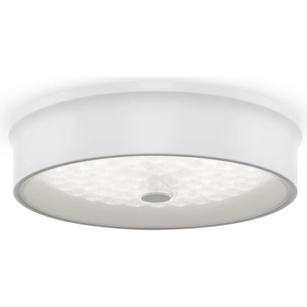 Потолочный светильник Freya cells FR10011CL-L24W