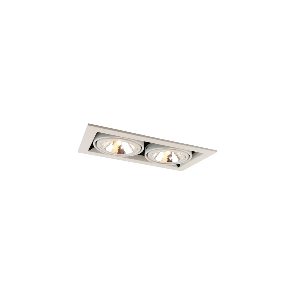 Потолочный светильник ARTE LAMP A5949PL-2WH