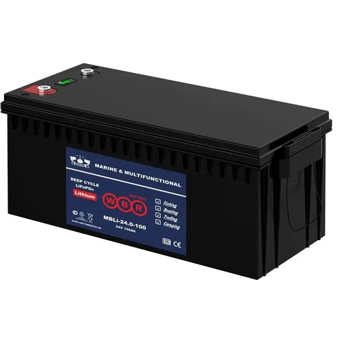 Аккумуляторная батарея WBR MBLi24V 100 для ИБП, 25.6В, 100Ач