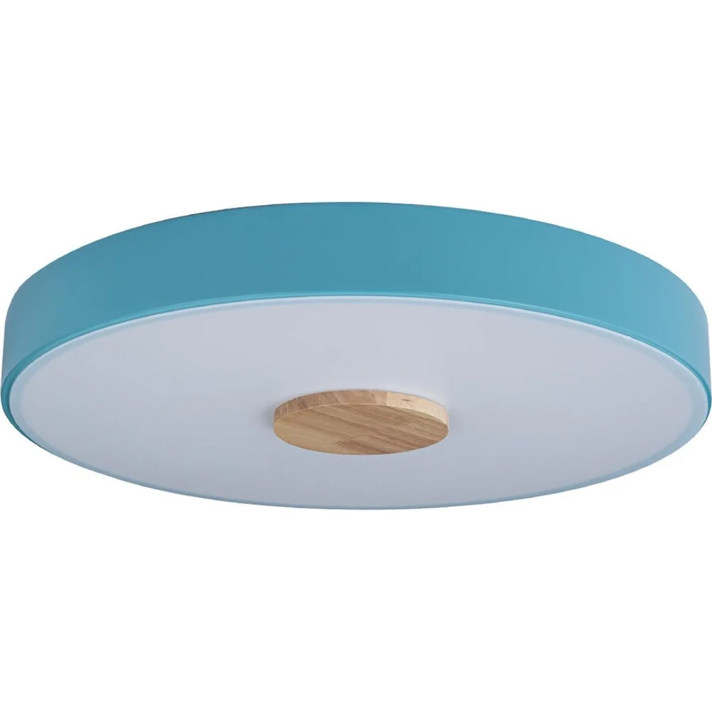 Накладной светильник LOFT IT Axel 2 10003/24 Blue