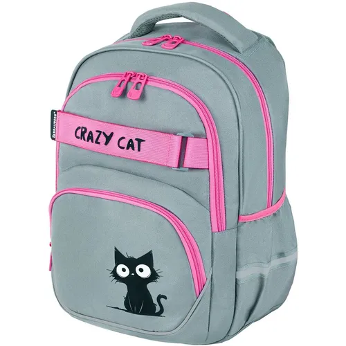 Рюкзак с ортопедической спинкой BRAUBERG Motion 273115 Crazy cat