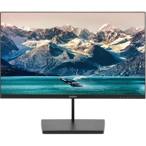23.8" Монитор Digma Progress 24P501F, 1920x1080, IPS, 100Гц, 1хHDMI, 1хDP, черный [dm24sb01]