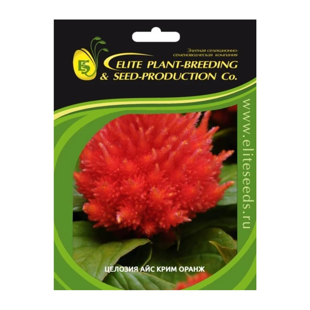 Целозия перистая ELITE PLANT-BREEDING & SEED PRODUCTION Co. Айс Крим Оранж 1026994503